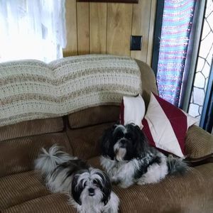 Meet your Posher, Sandy